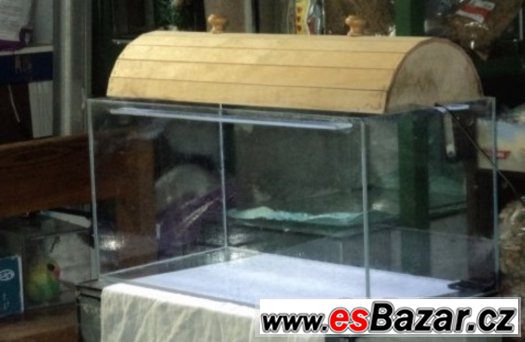 Akvárium 54 litrů s LED krytem – fotografie 1