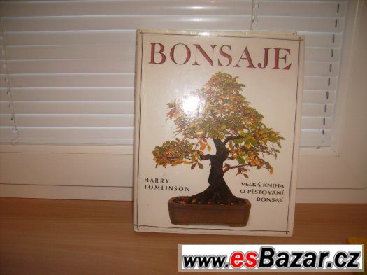 Prodám knihu o bonsai – fotografie 1