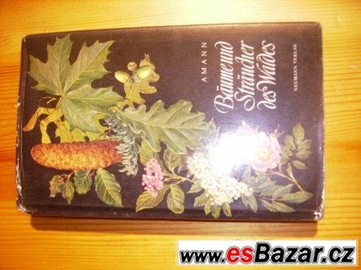 Okrasné dřeviny – fotografie 1