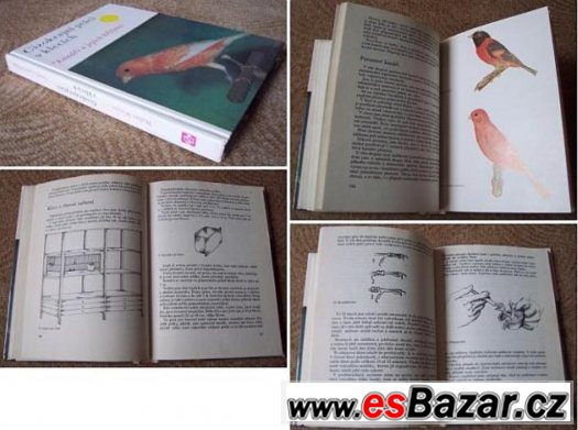 Cizokrajní ptáci v klecích – fotografie 1