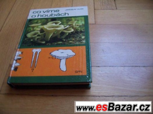 Co víme o houbách – fotografie 1