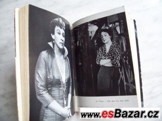 Dana Medřická – fotografie 4