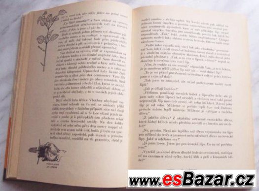 Dva divoši – fotografie 5