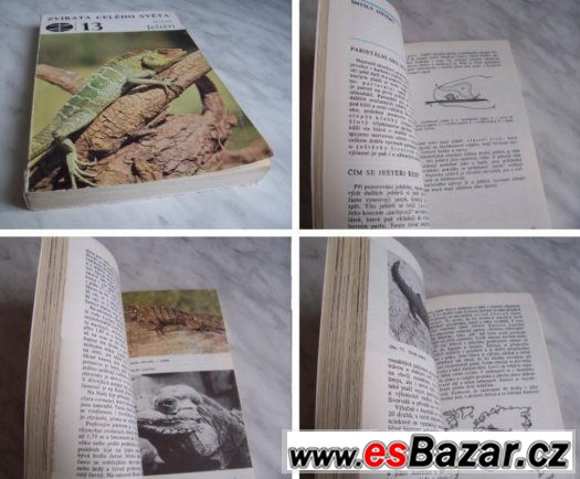 Ještěři – fotografie 1