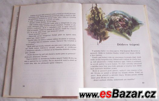 Za trnkovým keřem – fotografie 3