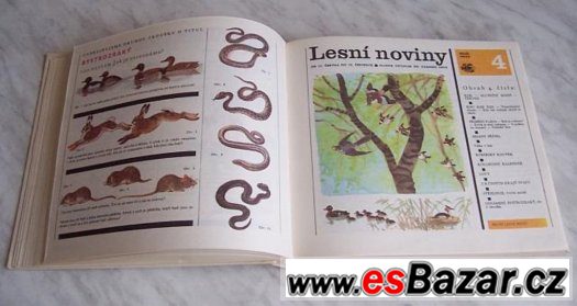 Lesní noviny – fotografie 4