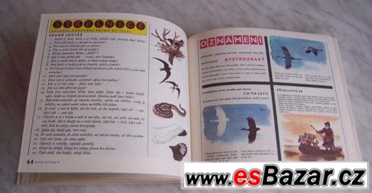 Lesní noviny – fotografie 5