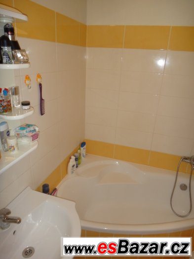 Pronájem bytu 1+1, 40m2, ul. Horní, lodžie – fotografie 3