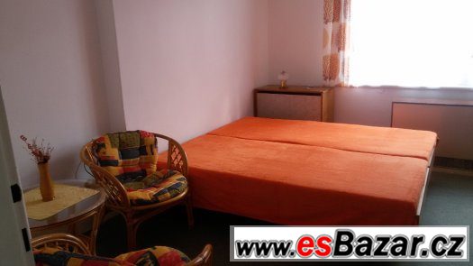 APARTMÁN v RD 1+1 s balkonem-okolí HK-super cena-bez kauce – fotografie 5