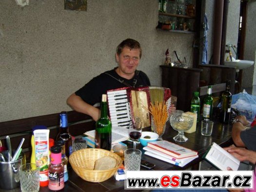 harmonikář akordeon harmonika zábava – fotografie 3