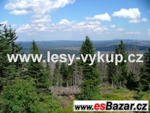 Koupím lesy po celé ČR – fotografie 1