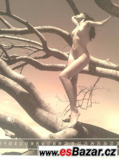Dámský fotokalendář 2011 na křídovém papíře – fotografie 2
