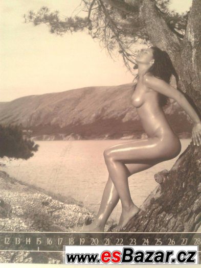 Dámský fotokalendář 2011 na křídovém papíře – fotografie 3