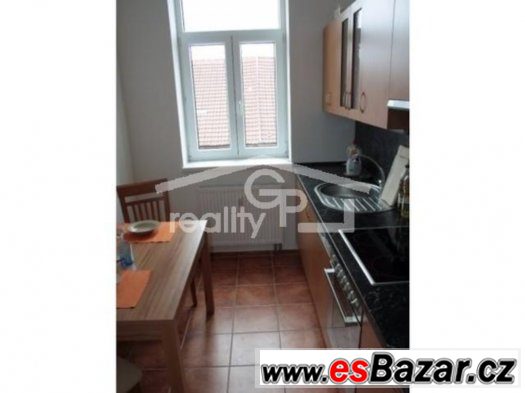 ZLEVNĚNO - Prodej 1+1 v OV, ul. K. V. Raise, ČB – fotografie 2