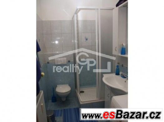 ZLEVNĚNO - Prodej 1+1 v OV, ul. K. V. Raise, ČB – fotografie 5