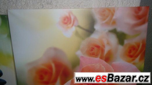 Zařízení salonu – fotografie 3