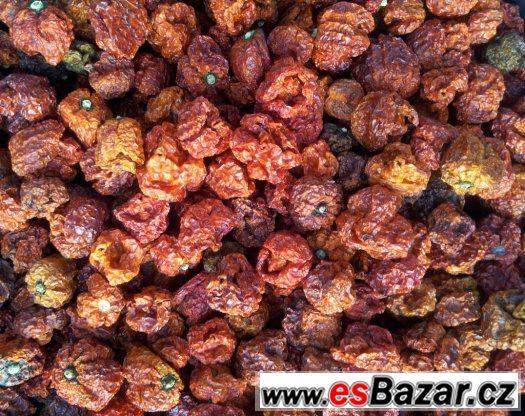 Trinidad Scorpion Moruga - sušené chilli – fotografie 2