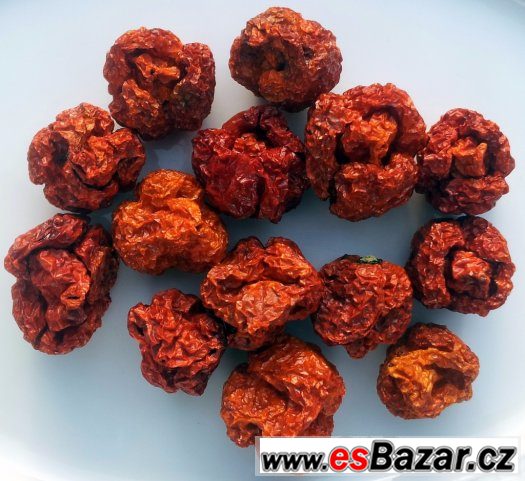 Trinidad Scorpion Moruga - sušené chilli – fotografie 3
