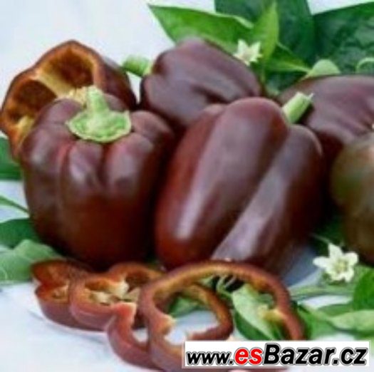 Paprika sladká Chocolate Beauty  - semena – fotografie 1