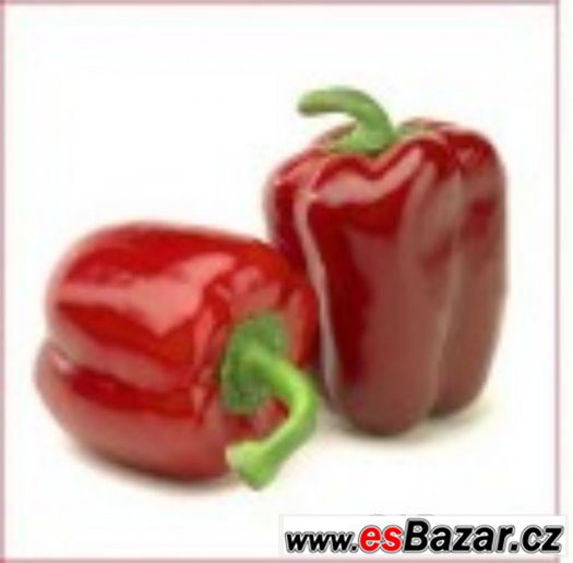 Paprika sladká Rubinova - semena – fotografie 1