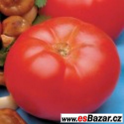 Rajče Beefmaster VFN - semena – fotografie 1