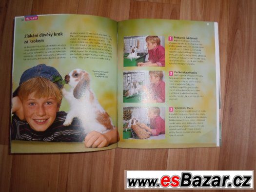 Můj zakrslý králík – fotografie 2