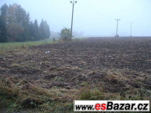 Pozemek - Jílové u Držkova – fotografie 4