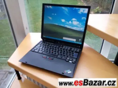 IBM R31