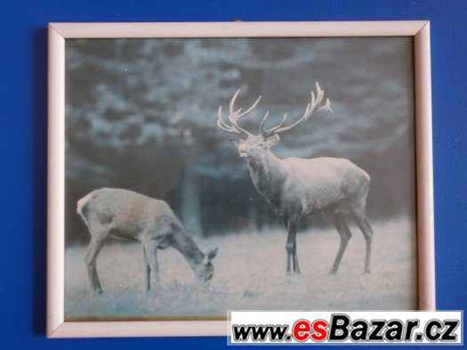 Rámečky na obrázky – fotografie 3