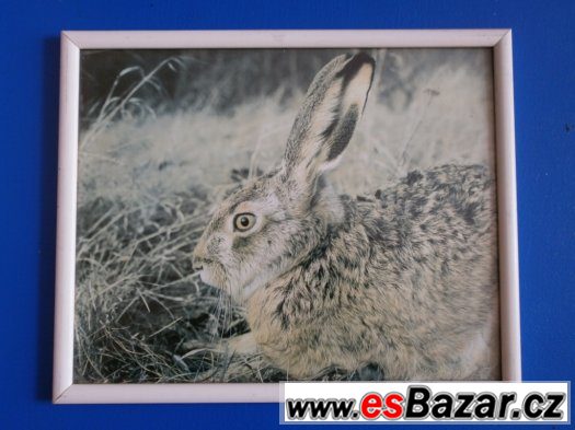 Rámečky na obrázky – fotografie 4