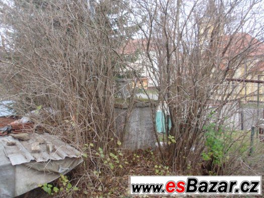 Daruji haluze a větve - štěpka – fotografie 3