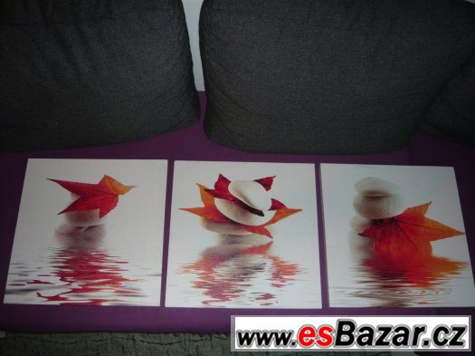 obrázky – fotografie 1