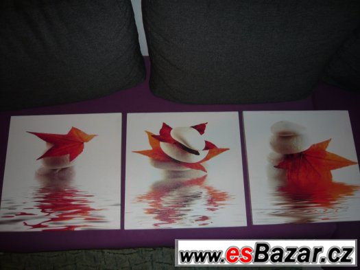obrázky – fotografie 3