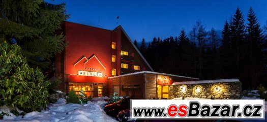 Číšník / servírka – fotografie 1