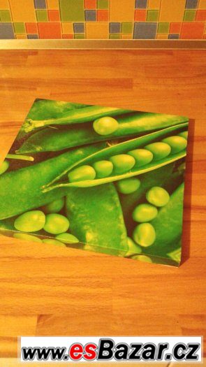obrazek – fotografie 1