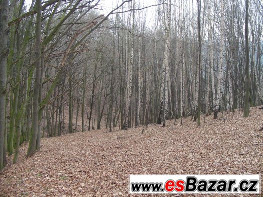 Pozemek (zátoka) u přehrady Křetínka – fotografie 2