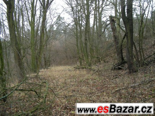 Pozemek (zátoka) u přehrady Křetínka – fotografie 3