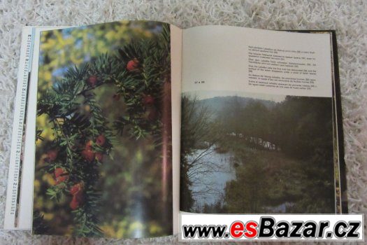 Průhonický park – fotografie 2