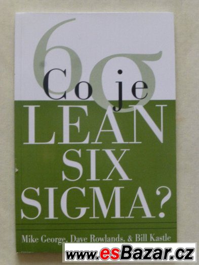 Co je Lean Six Sigma? – fotografie 1