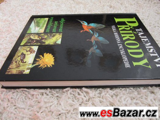 Tajemství přírody – fotografie 2