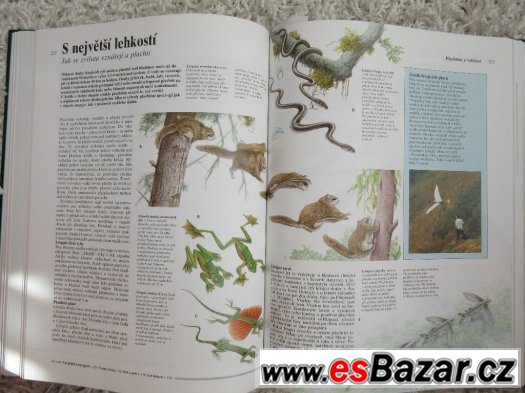 Tajemství přírody – fotografie 3