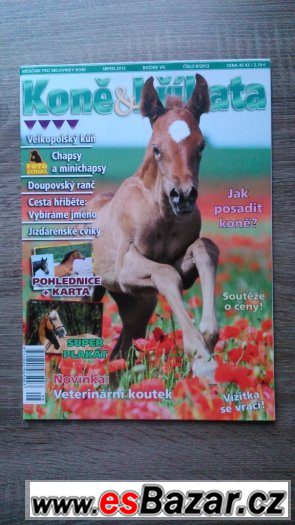 Prodej časopisů – fotografie 4