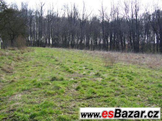 prodej parcely k výstavbě RD Stará ves nad Ondřejnicí – fotografie 5