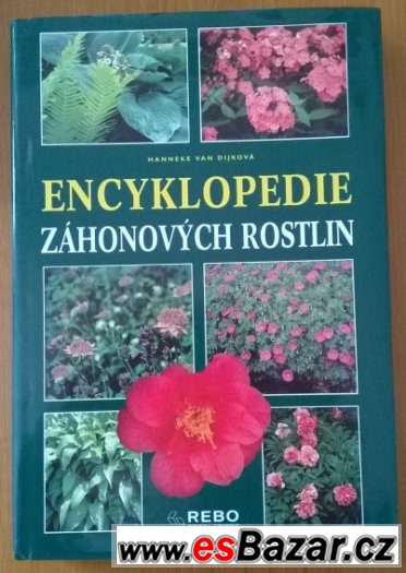 ROSTLINY NA ZÁHONECH- 1997 – fotografie 1