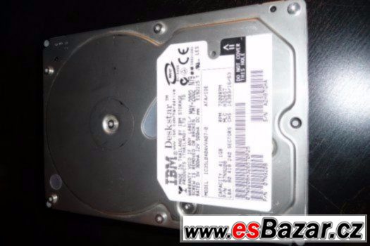 40GB HDD IBM Deskstar P-ATA – fotografie 1