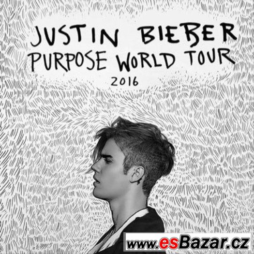 JUSTIN BIEBER -  vstupenky na koncert 12.11.2016 – fotografie 1
