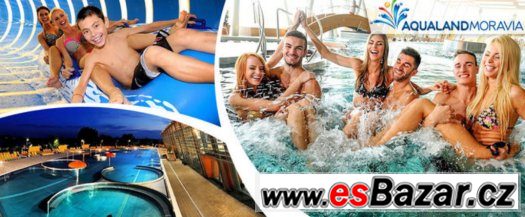 Celodenní vstup do Aqualandu Moravia + Wellness  PO-NE – fotografie 2