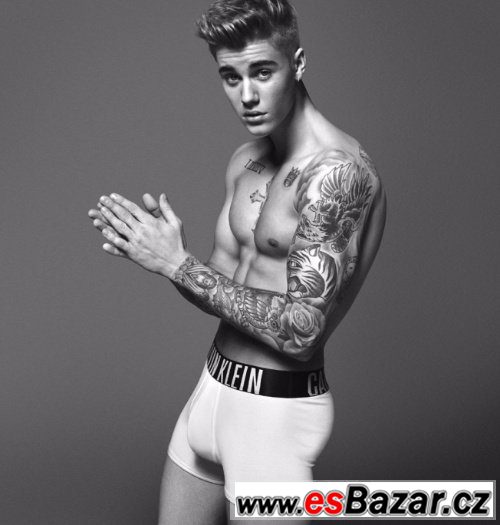 Prodam vstupenky na Justin Bieder – fotografie 1