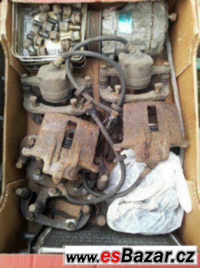 Felicia felicie felicii – fotografie 2