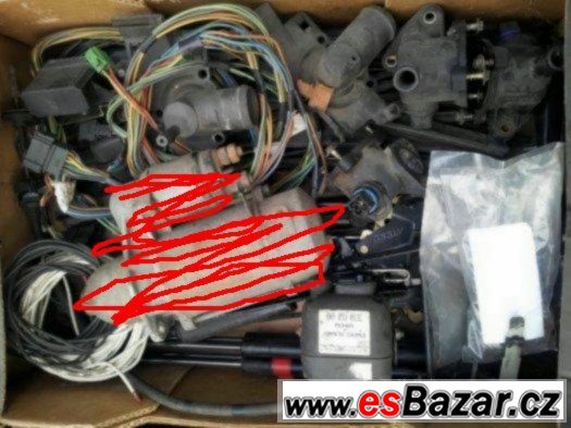Felicia felicie felicii – fotografie 5